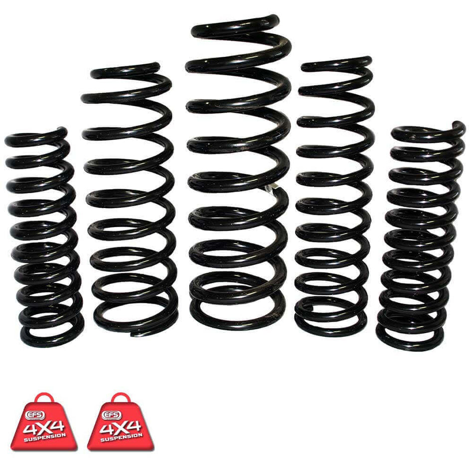 EFS COIL SPRINGS REAR