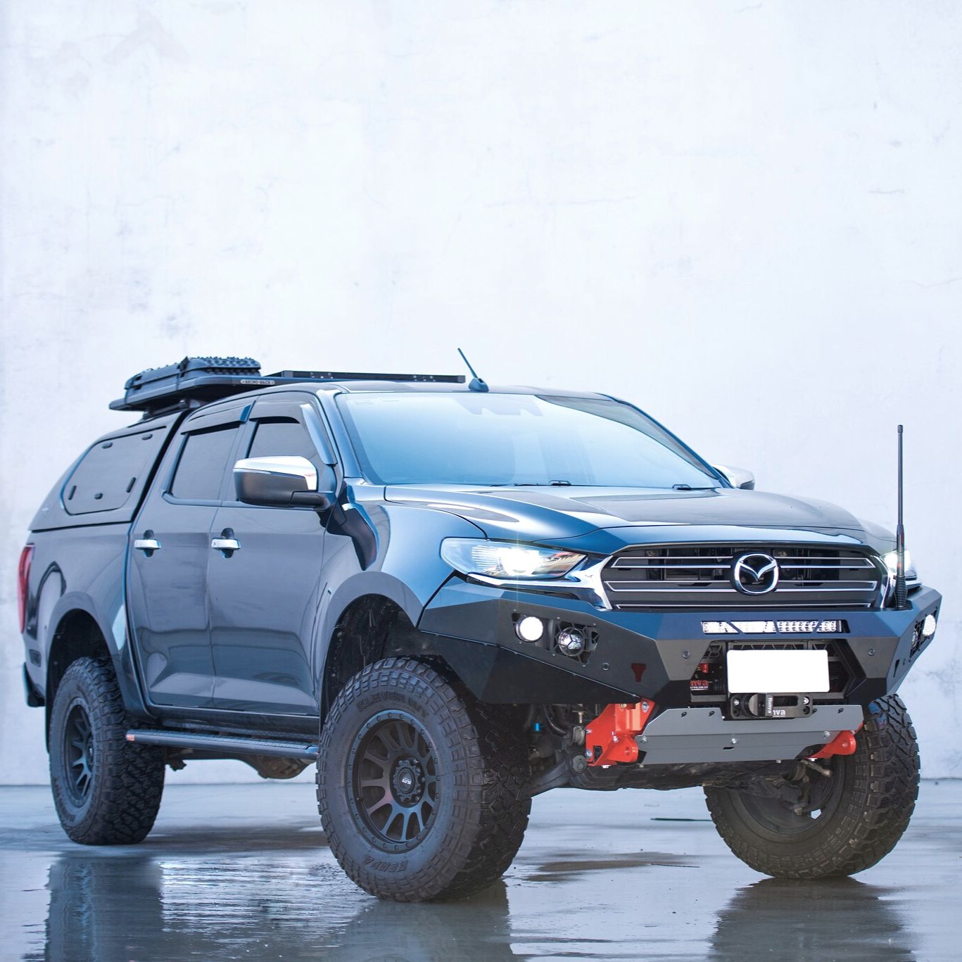 Offroad Animal Brendale Direct Suspensions