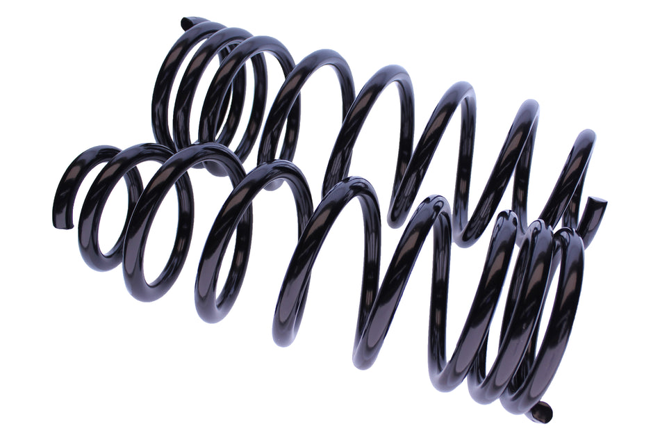 WCS 2" Coil Springs for Ford Everest (2015-2022) [100kg]