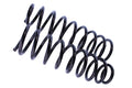 WCS 2" Coil Springs for Jeep Wrangler TJ (1996-2005) [45kg Petrol]