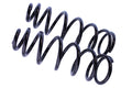 WCS 2" Coil Springs for Jeep Wrangler TJ (1996-2005) [100kg]