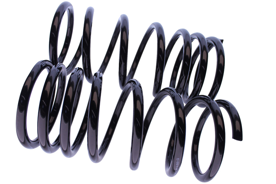 WCS 2" Heavy-Duty Coil Springs for Mitsubishi Pajero NF/NL (1988-2000) [200kg]