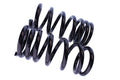 WCS 2" Coil Springs for Mitsubishi Pajero NM/NT (2000-2006) [150kg]