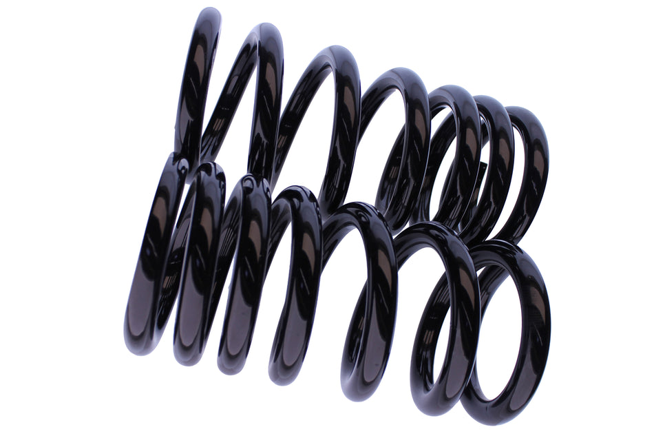 WCS 2" Heavy-Duty Coil Springs for Mitsubishi Pajero NM/NT (2000-2006) [300kg]