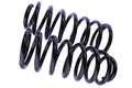 WCS 2" Coil Springs for Ford Maverick LWB (1988-2016) [100kg]