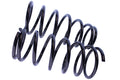 WCS 2" Coil Springs for Nissan Pathfinder R50 (1995-2004) [45kg]