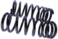 WCS 2" Coil Springs for Nissan Patrol GU Trayback (1998-2016) [300kg Progressive]