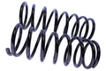 WCS 2" Coil Springs for Ford Maverick (1988-1997) [100kg]