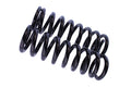 WCS 2" Coil Springs for Nissan Navara D40/D23 Navara (2015 on) [40kg]