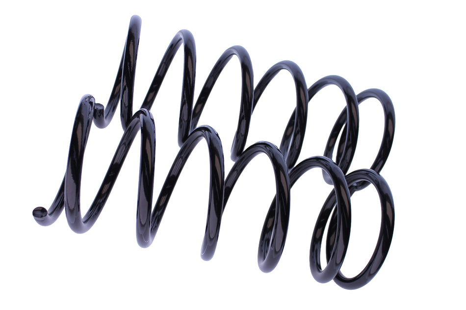 WCS Coil Springs for Suzuki Grand Vitara JB627 LWB (2005-2015) [40kg]