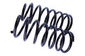 WCS 2" Coil Springs for Toyota 4-Runner/Surf (1989-1996) [100kg]