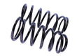 WCS 2" Coil Springs for Toyota 4-Runner/Surf (1989-1996) [175kg]