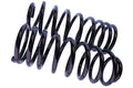 WCS 2" Coil Springs for Toyota LandCruiser 80/100 Series (1990-2007) [250kg Progressive]