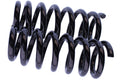 WCS Coil Springs for Volkswagen Amarok (2011-2022) [4Cyl HD/V6]