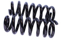 WCS Coil Springs for Volkswagen Amarok V6 HD (2016-2022) [V6 HD]